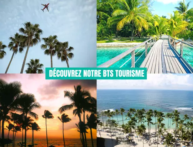 Découvrez Notre BTS Tourisme Accessible En Initial Ou En Alternance ...